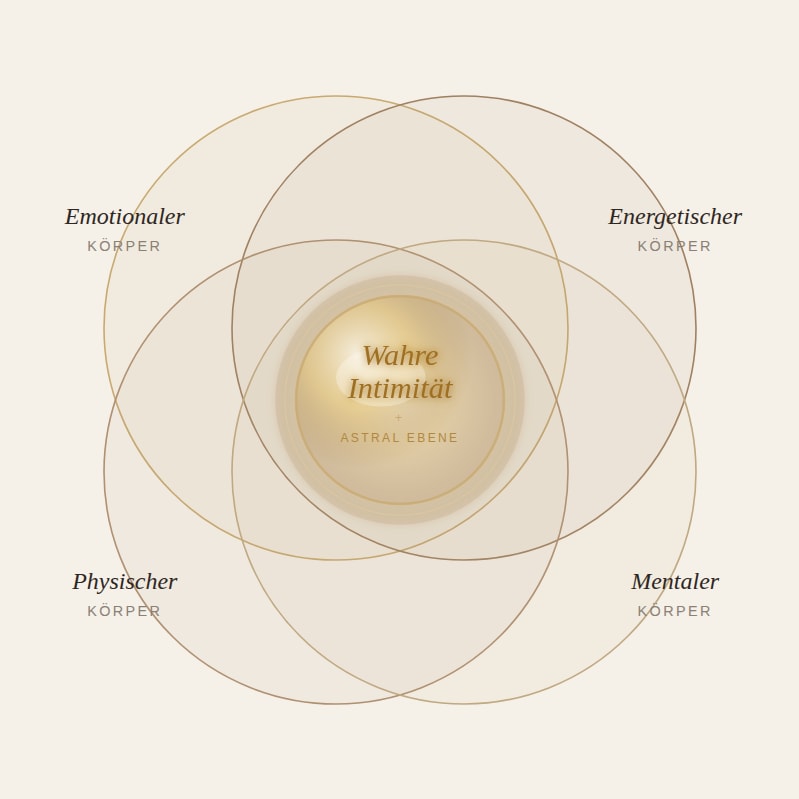 Die vier Ebenen der Transformation